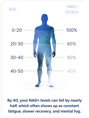 NAD+ Levels Chart