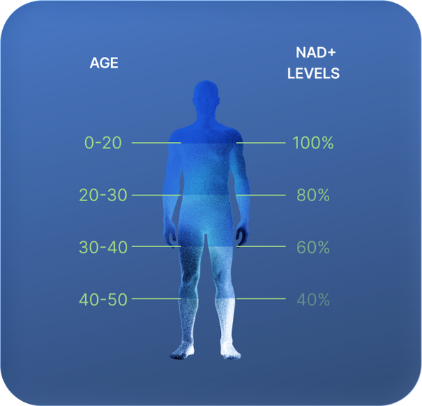 NAD+ levels chart